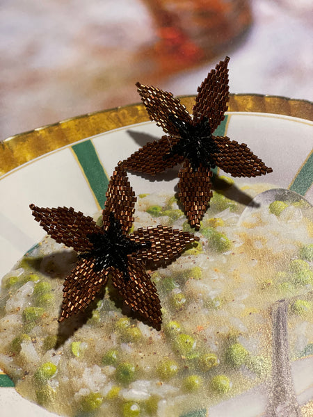 Orecchini stella marrone