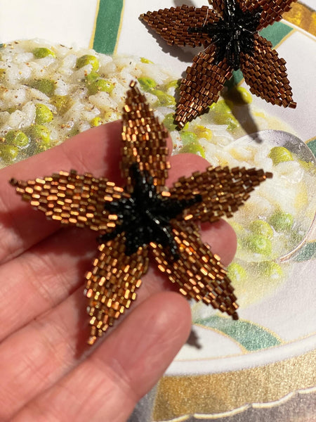 Orecchini stella marrone