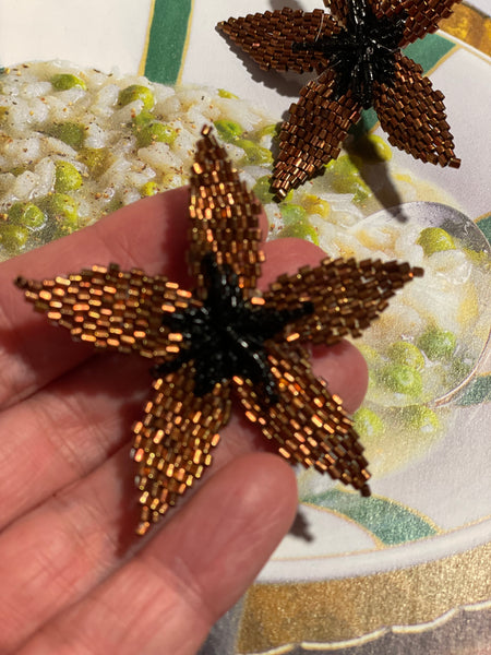 Orecchini stella marrone